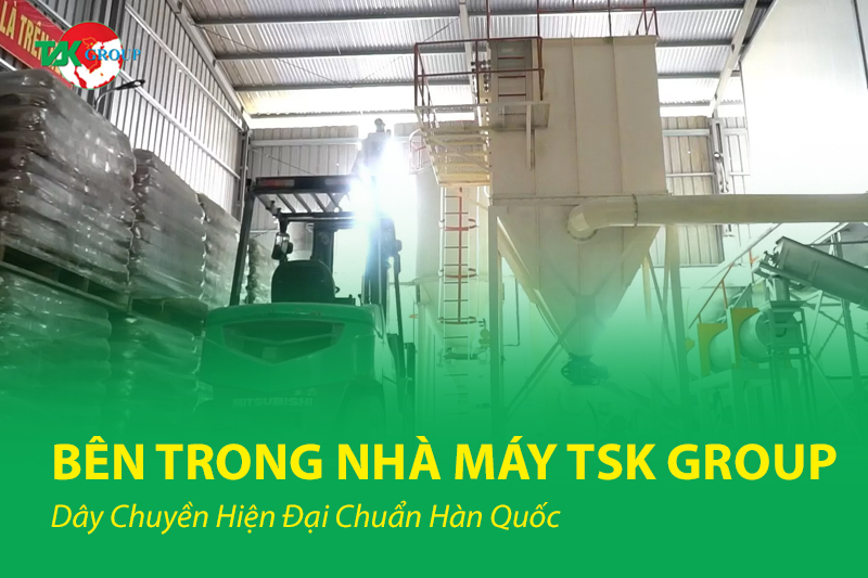 Bên Trong Nhà Máy TSK Group: Dây Chuyền Hiện Đại Chuẩn Hàn Quốc